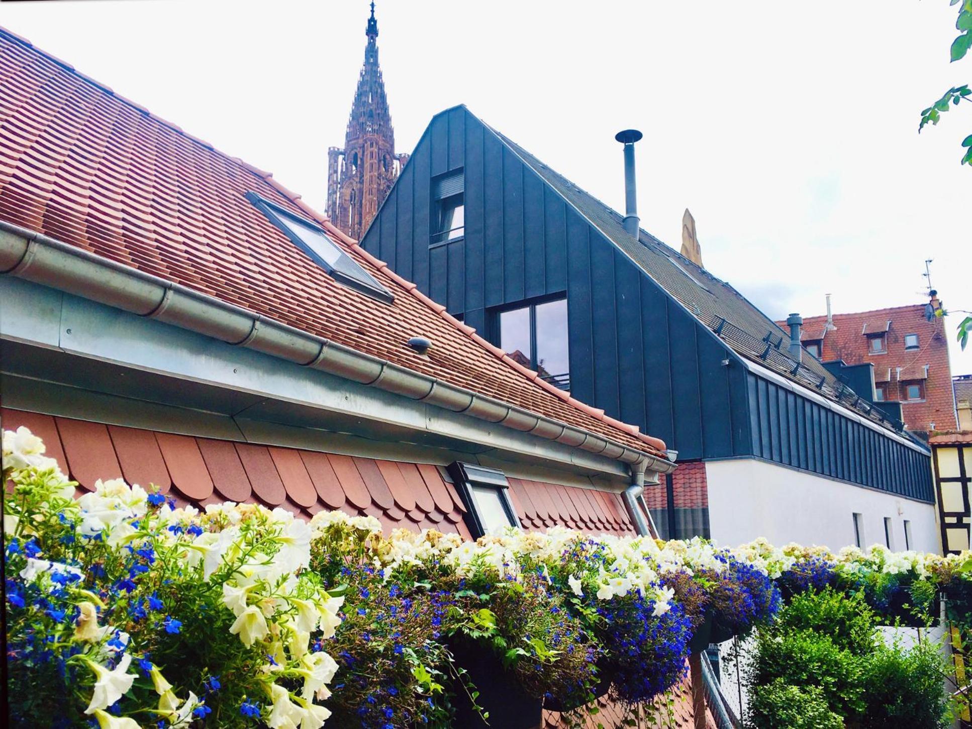 Le Carre D Or Appartement Terrasse Vue Cathedrale Strasbourg Exteriör bild